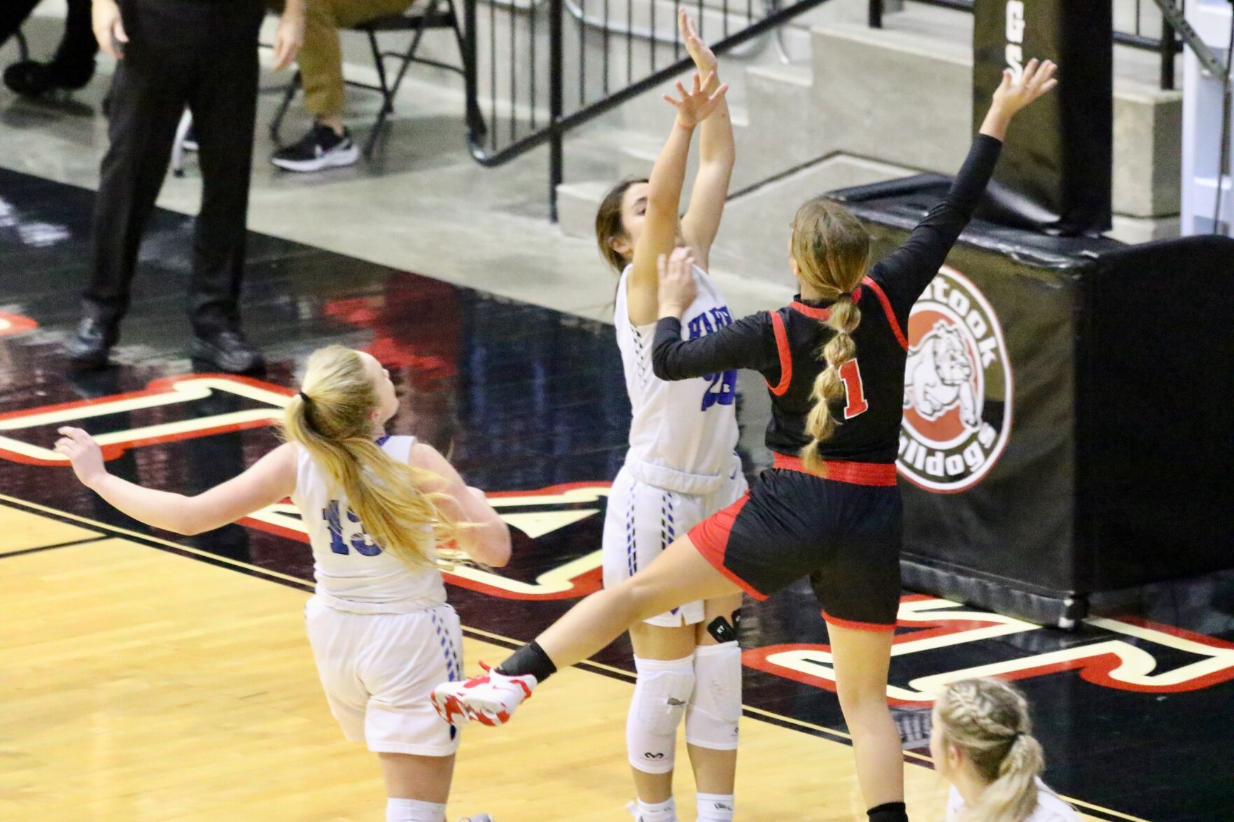 Lady Dawgs vs. Harrah8.jpeg